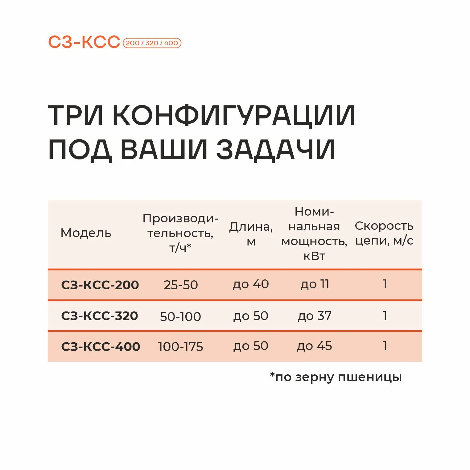 99904386.jpg