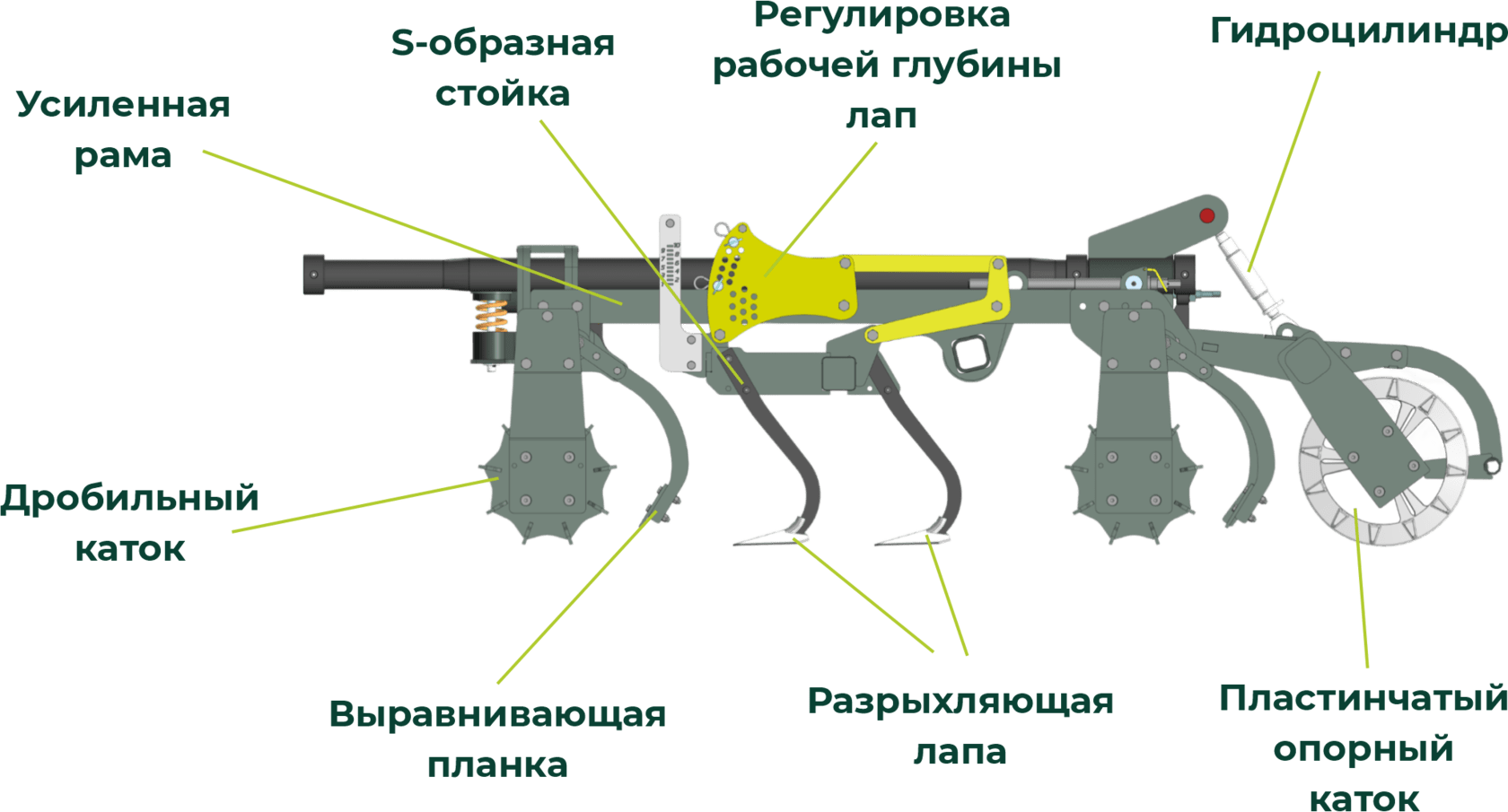 photo.png (2)